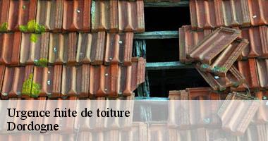 Dépannage fuite de toiture Dordogne avec Maison Riva
