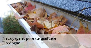 Maison Riva pour nettoyer tout type de gouttière