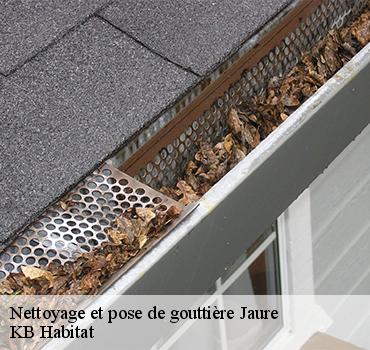 Nettoyage de gouttière en zinc avec Maison Riva
