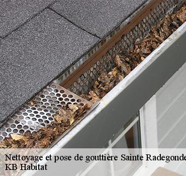 Maison Riva pour s’occuper de tous vos travaux de gouttières Sainte Radegonde