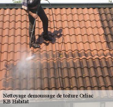 Maison Riva pour entretenir votre toiture Orliac
