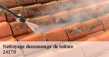 Faites démousser votre tuile par Maison Riva