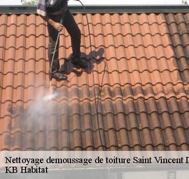 L’entreprise de nettoyage et démoussage toiture : Maison Riva